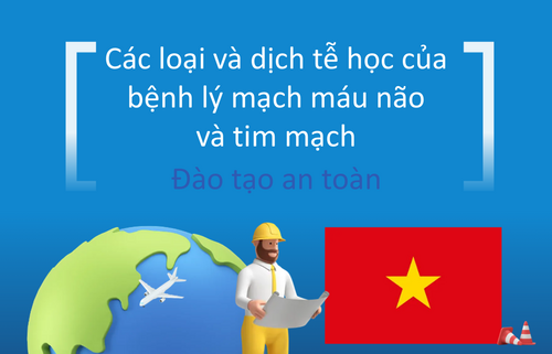 Các loại và dịch tễ học của  bệnh lý mạch máu não  và tim mạch