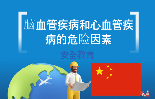 脑血管疾病和心血管疾病的危险因素