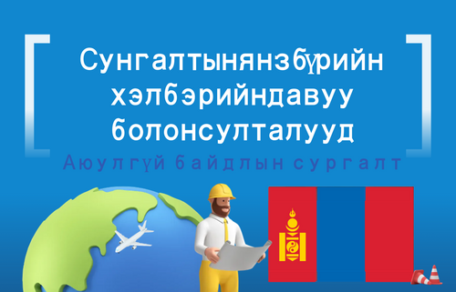 Сунгалтын янз бүрийн  хэлбэрийн давуу  болон сул талууд