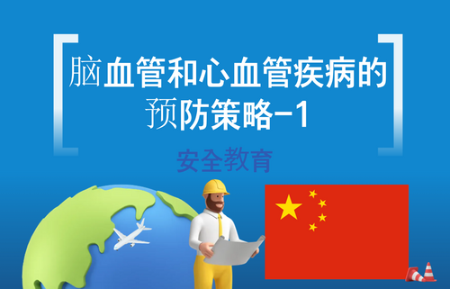 脑血管和心血管疾病的预防策略-1